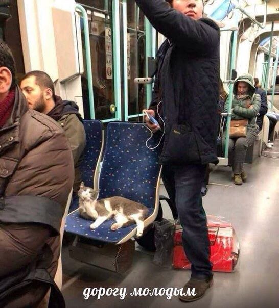 Нестандартный юмор :) Нестандартный юмор :)
