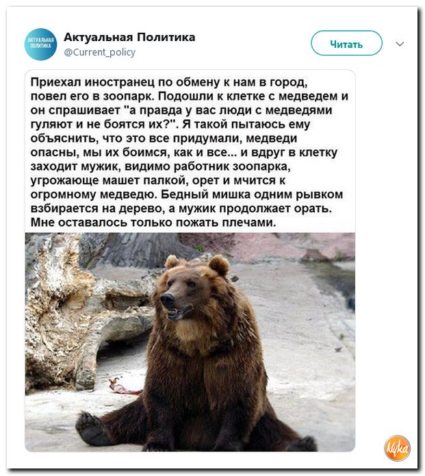 Обзор ситуации в мире с сарказмом и ехидной улыбкой Обзор ситуации в мире с сарказмом и ехидной улыбкой