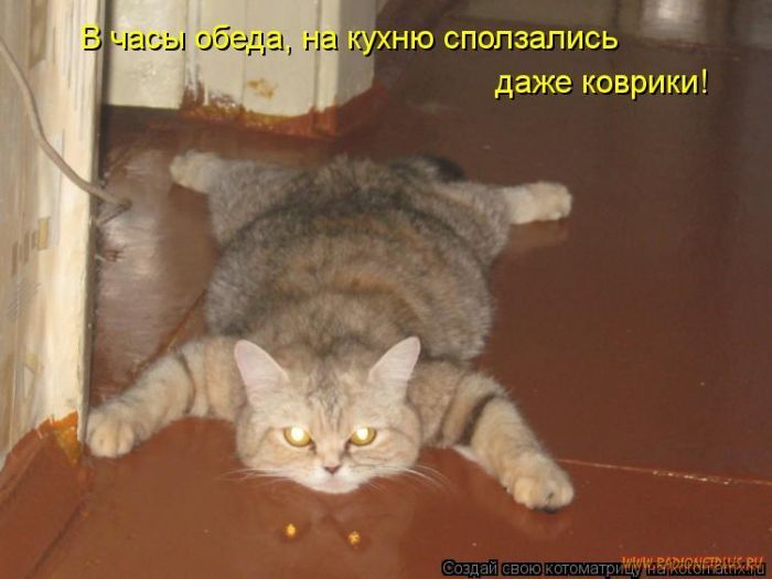 Котоматрицы великолепные, каждая с кусочком позитива и хорошего настроения!!! Котоматрицы великолепные, каждая с кусочком позитива и хорошего настроения!!!