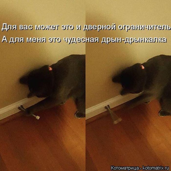 Самые весёлые котоматрицы)) Самые весёлые котоматрицы))