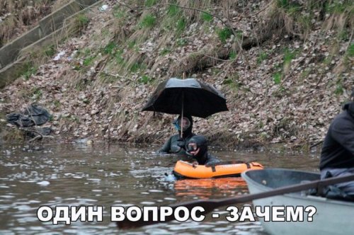 Новые прикольные фотомемы (24 шт) Новые прикольные фотомемы (24 шт)