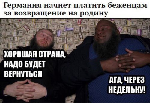 Прикольные фотомемы (30 шт) Прикольные фотомемы (30 шт)