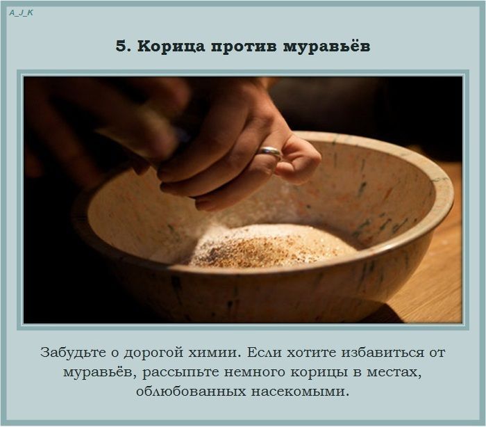 Полезные советы на каждый день вещи, советы, полезно знать
