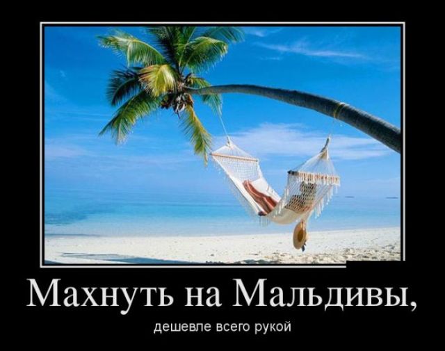 Демотиваторы (30 фото) Демотиваторы (30 фото)
