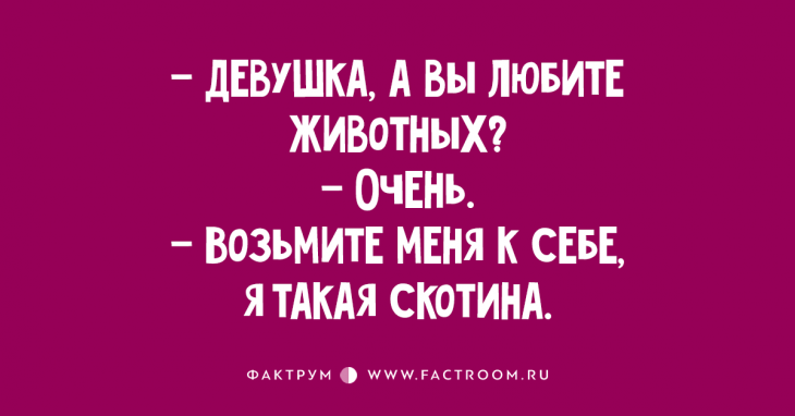 Десятка прекрасных анекдотов Десятка прекрасных анекдотов