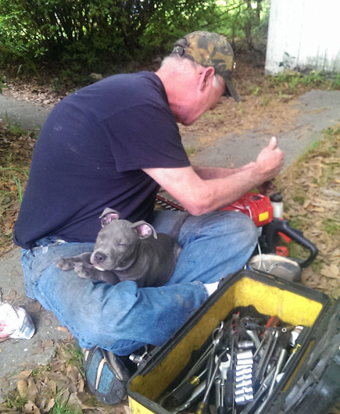 My Dad Makes A Big Deal About How Much He Hates Dogs...but I Always Seem To Catch Him Being Adorable With His Grandpups