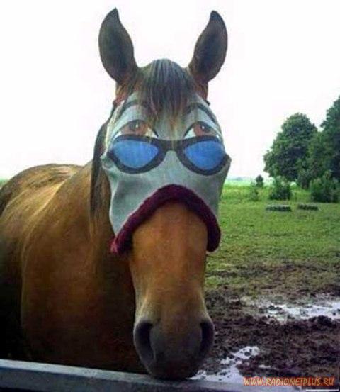 Давайте улыбаться вместе! :) (28поводов)