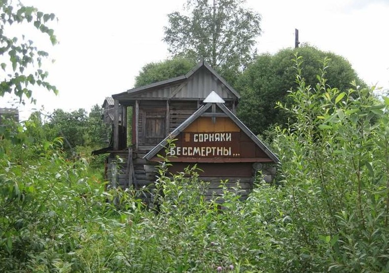 20. Крик о помощи 20. Крик о помощи дача, дачники, огородники, прикол, фото