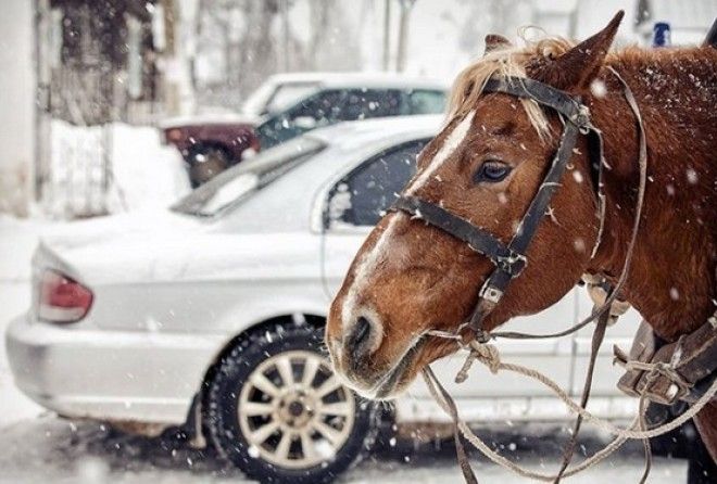 ПОЧЕМУ МОЩНОСТЬ ИЗМЕРЯЕТСЯ В ЛОШАДЯХ