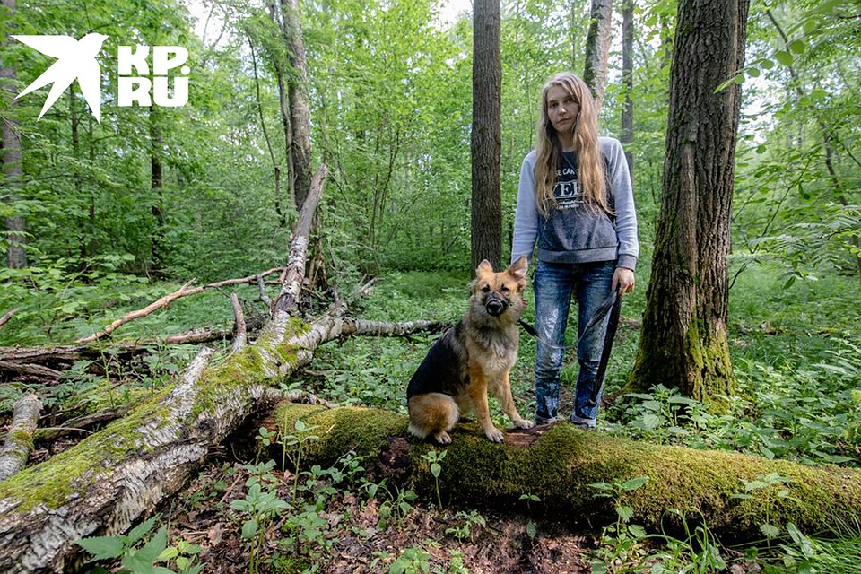 Как двум беженкам из Луганска год удается выживать в подмосковном лесу