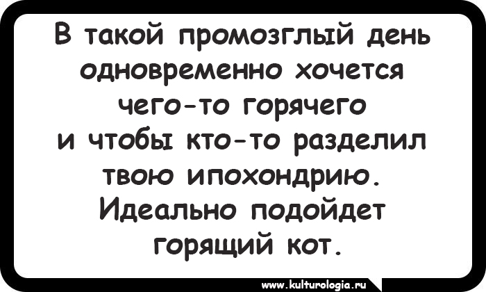 15 открыток, которые будут близки и понятны поклонникам котиков