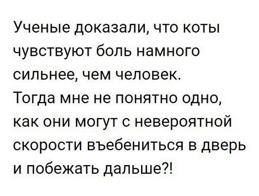 "Мы не ищем лёгких путей". Пятничный позитивчик.
