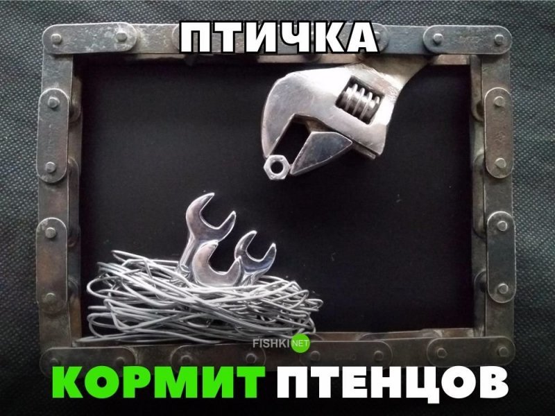 Птичка кормит птенцов Птичка кормит птенцов авто, автомобили, автоприкол, автоприколы, подборка, прикол, приколы, юмор
