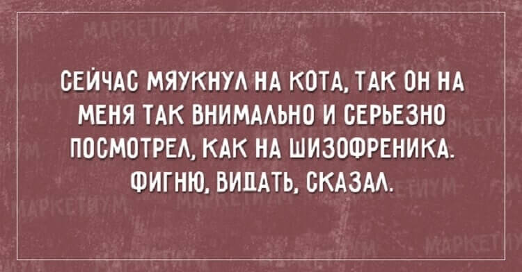 20 жизненных открыток для отличного настроения