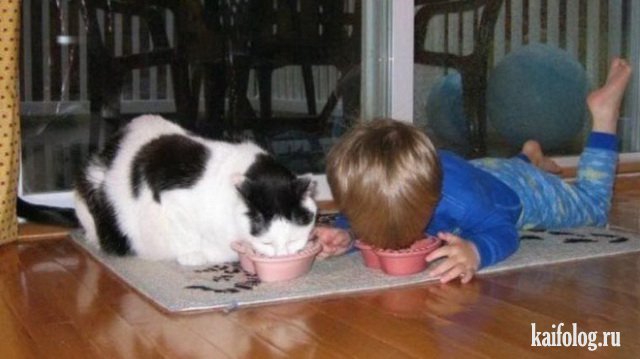 Чудо в перьях (45 фото) Чудо в перьях (45 фото)