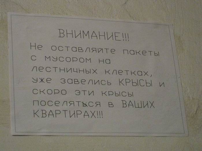 Маразмы Маразмы