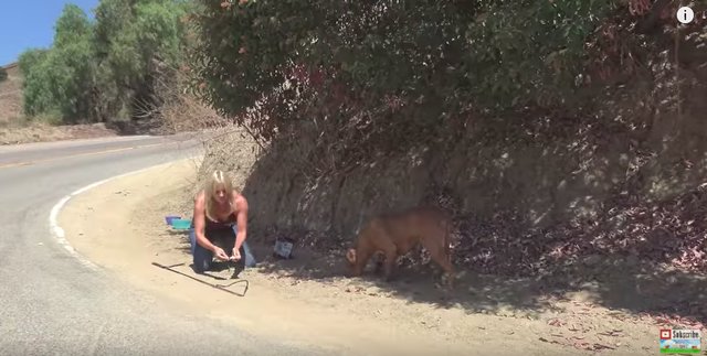 tmg-article_tall (6)