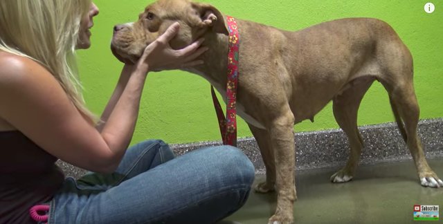 tmg-article_tall (1)