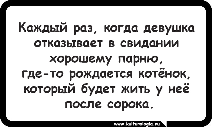 15 открыток, которые будут близки и понятны поклонникам котиков