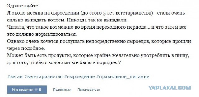 Ну и немножко подтверждающих фактов. Ну и немножко подтверждающих фактов. веганы, веганы и мясоеды, мифы, мясо