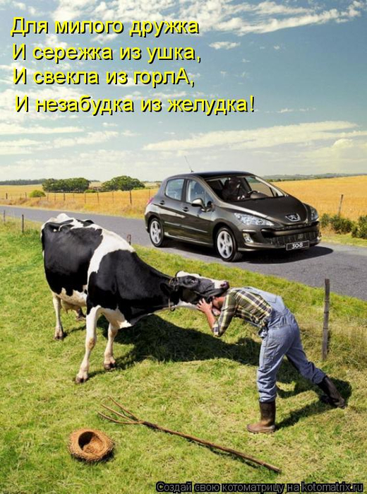 kotomatritsa_y (520x700, 437Kb)