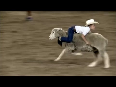 Лучшая подборка за май с Coub Лучшая подборка за май с Coub