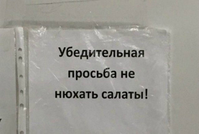 «А то что, убегут?» «А то что, убегут?»