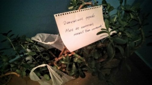 Смешные соседские объявления (16 фото) Смешные соседские объявления (16 фото)