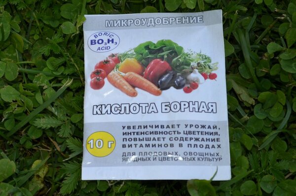 Борная кислота для подкормки розы.