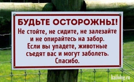 Веселые картинки)) Веселые картинки))