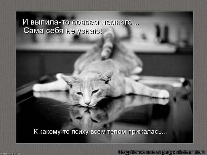 kotomatritsa_r (700x524, 165Kb)