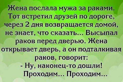 Встречаются две подруги, одна другую спрашивает:  - Маш, ты что, беременная опять?