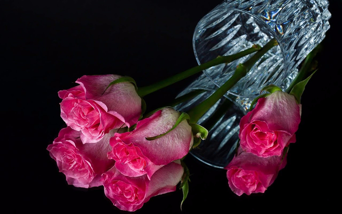 pink_roses (700x437, 244Kb)
