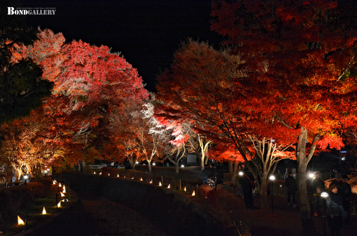 1418966443-DSC1044OKF-o (800x562, 496Kb)