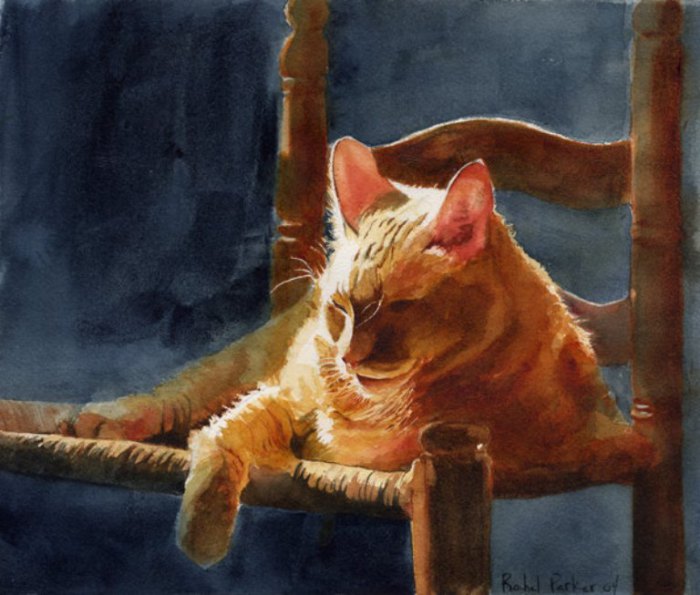 Рыжий кот. Автор: Rachel Parker. Рыжий кот. Автор: Rachel Parker.