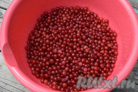 Желе из красной смородины Желе из красной смородины