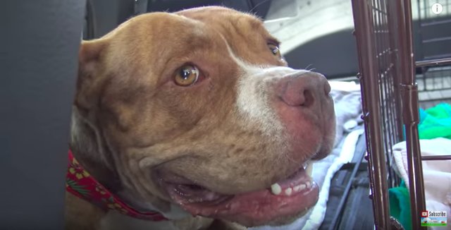 tmg-article_tall (2)