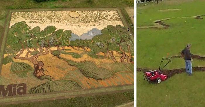 Художник воссоздал картину Ван Гога на поле площадью 5000 квадратных метров в мире, ван гог, деревья, земля, картина, поле, художник