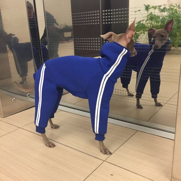 Ты с какого райЁна?