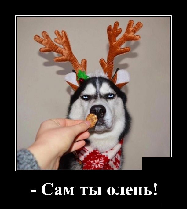 Забавные и новые демотиваторы. 547 ( 30 фото ) Забавные и новые демотиваторы. 547 ( 30 фото )