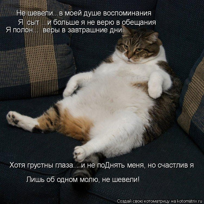kotomatritsa_Ta (700x700, 489Kb)