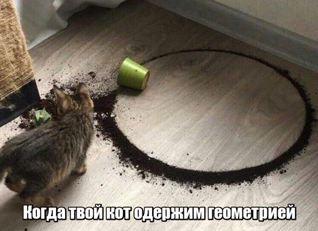 Подборка картинок Подборка картинок