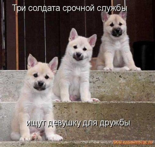 Давайте улыбаться вместе! :) (28поводов)