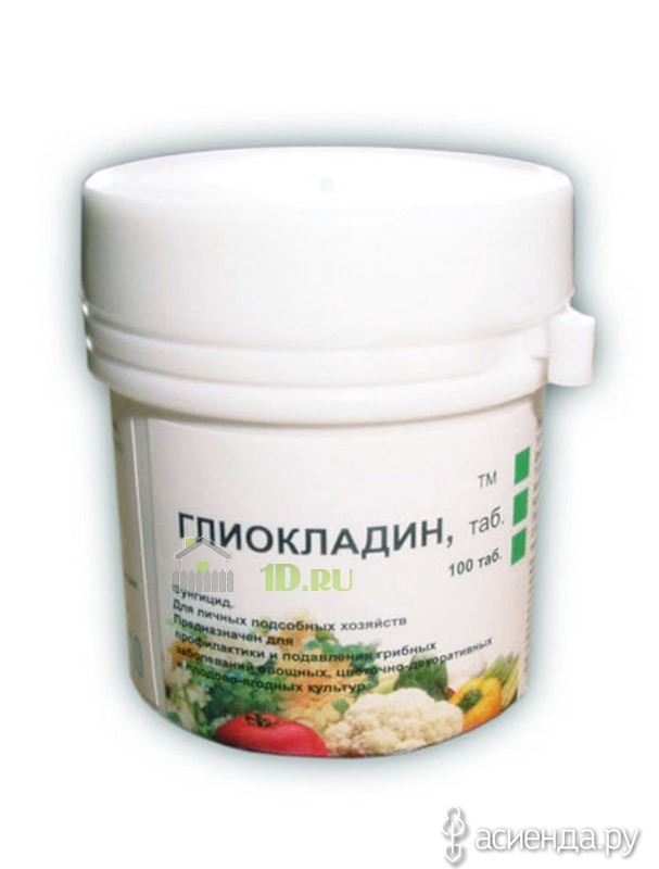 Полезная микрофлора Полезная микрофлора