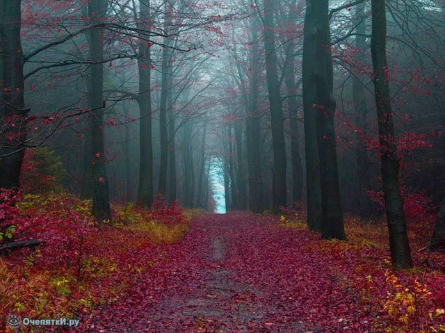Красивая природа и цивилизация 20