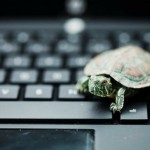 7aa41d23072e0d90b4399466946