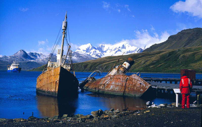 Грютвикен, Южная Георгия. (NOAA PHOTO LIBRARY)