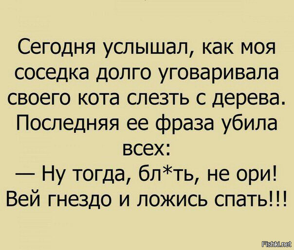 Смешные комментарии из соц. сетей Смешные комментарии из соц. сетей веселье в соцсетях, ну и баянчики, юмор