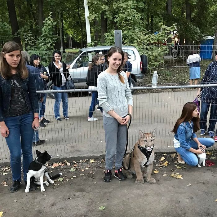 Пара из Пензы держит в однушке пуму Пара из Пензы держит в однушке пуму