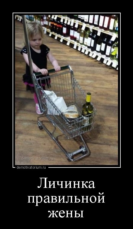 Свежие демотиваторы для настроения (20 шт) Свежие демотиваторы для настроения (20 шт)